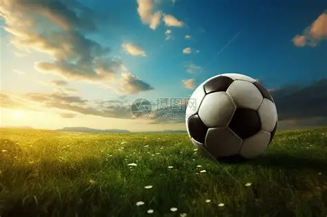 米兰体育·(中国)官方网站 - AC MILAN